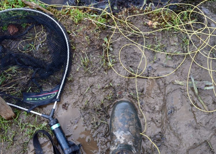 Articles 10 A Rough Guide to Fly Lines